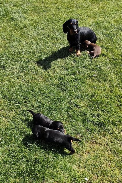 Spielen