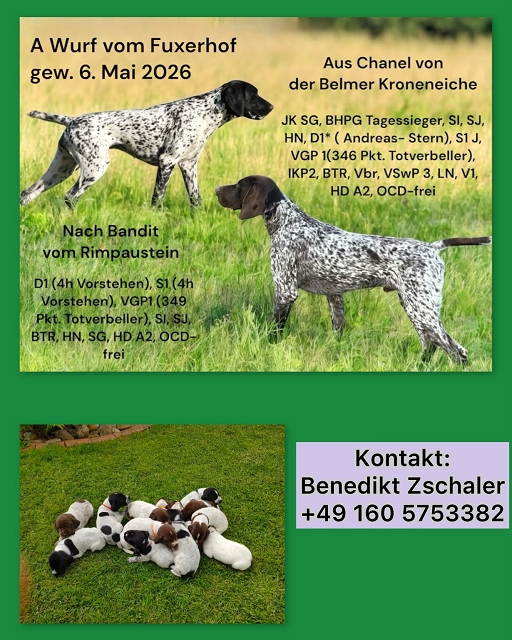 Aktualisiert Aktualisiert