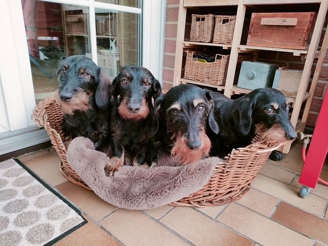 4 Generationen 4 Generationen